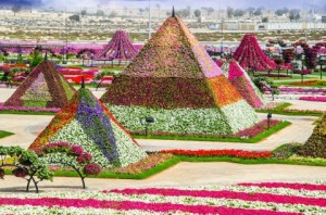 semestafakta-Dubai Miracle garden2
